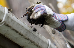 Gutter Cleaning